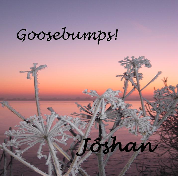 Goosebumps Joshan